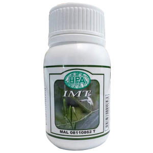 IMT
