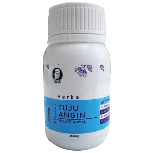 TUJU ANGIN
